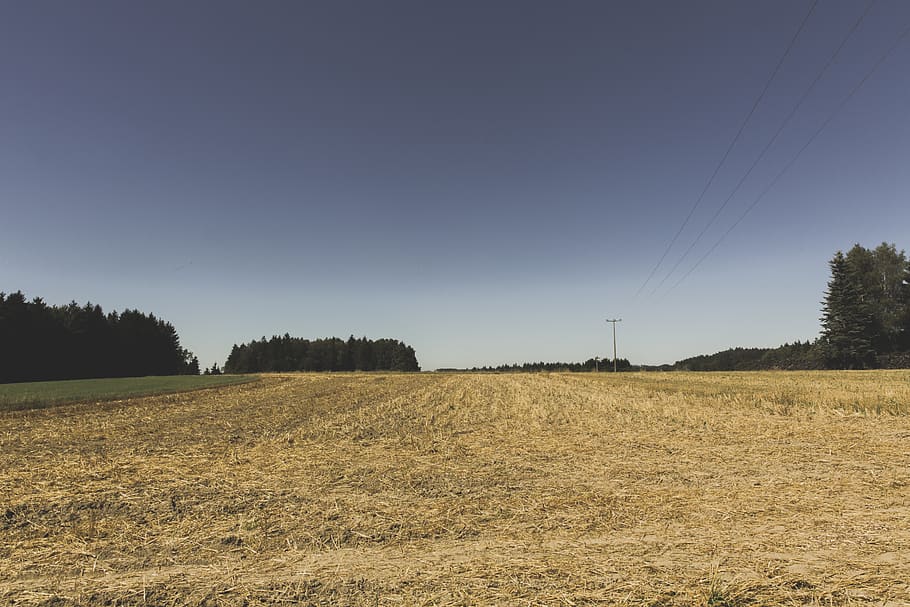 germany, marktleugast, hinterrehberg, combine, crop, cut, dust HD wallpaper