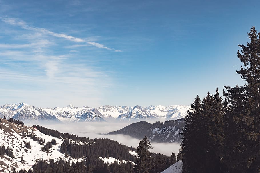 germany, obermaiselstein, berghütte grasgehren, trees, winter HD wallpaper