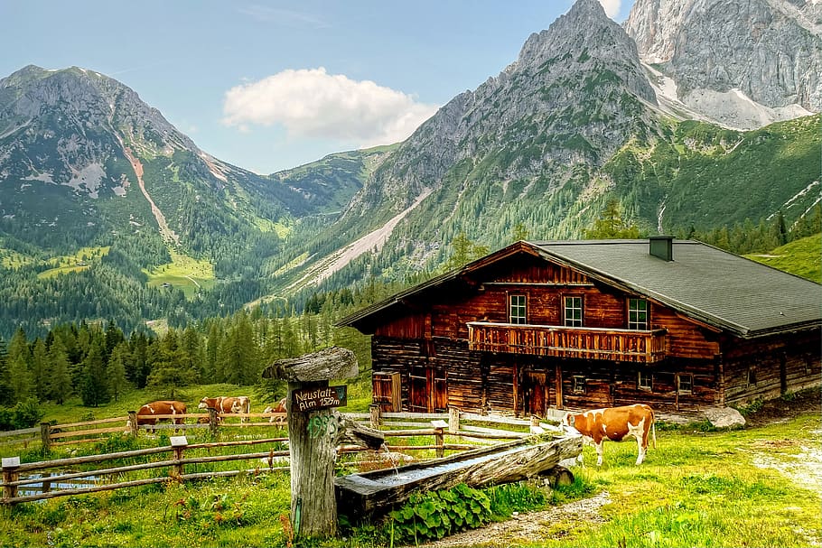 dachstein, alm, nature, clouds, mountains, austria, hiking, HD wallpaper