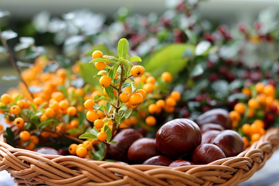 chestnut-sea-buckthorn-basket-autumn.jpg