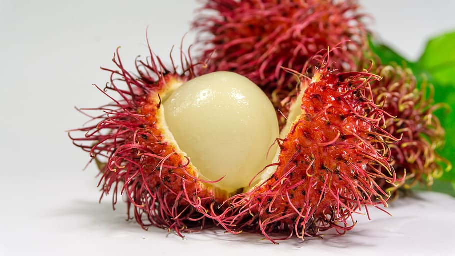 Rambutan, blur, close-up, delicious, focus, fruit, healthy, nutritious HD wallpaper