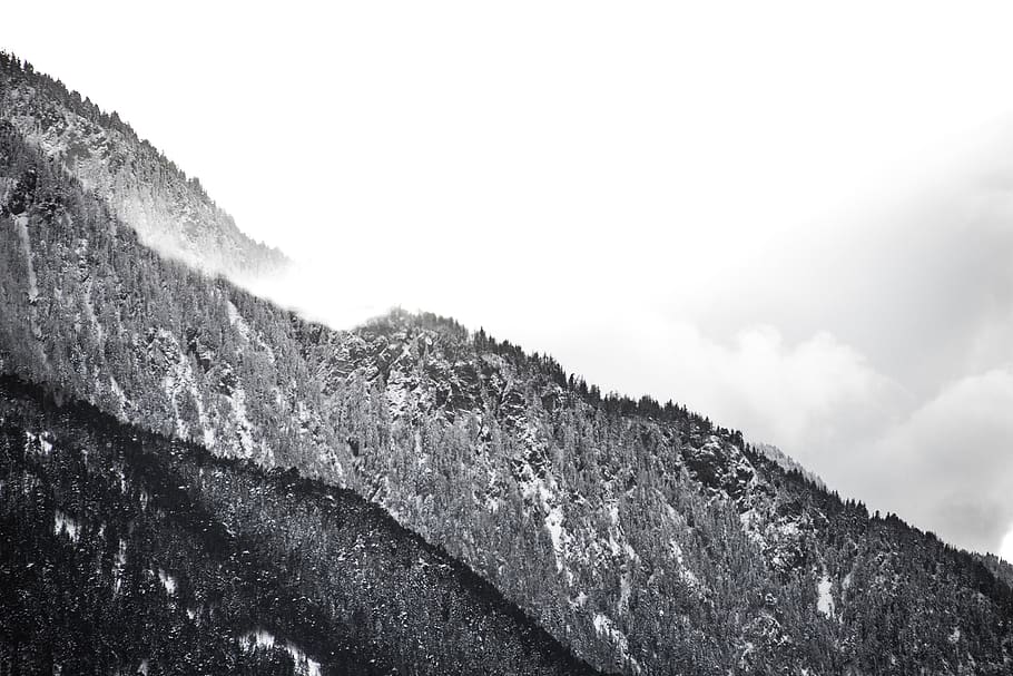 winter, snow, trees, forest, hills, mountains, black and white HD wallpaper