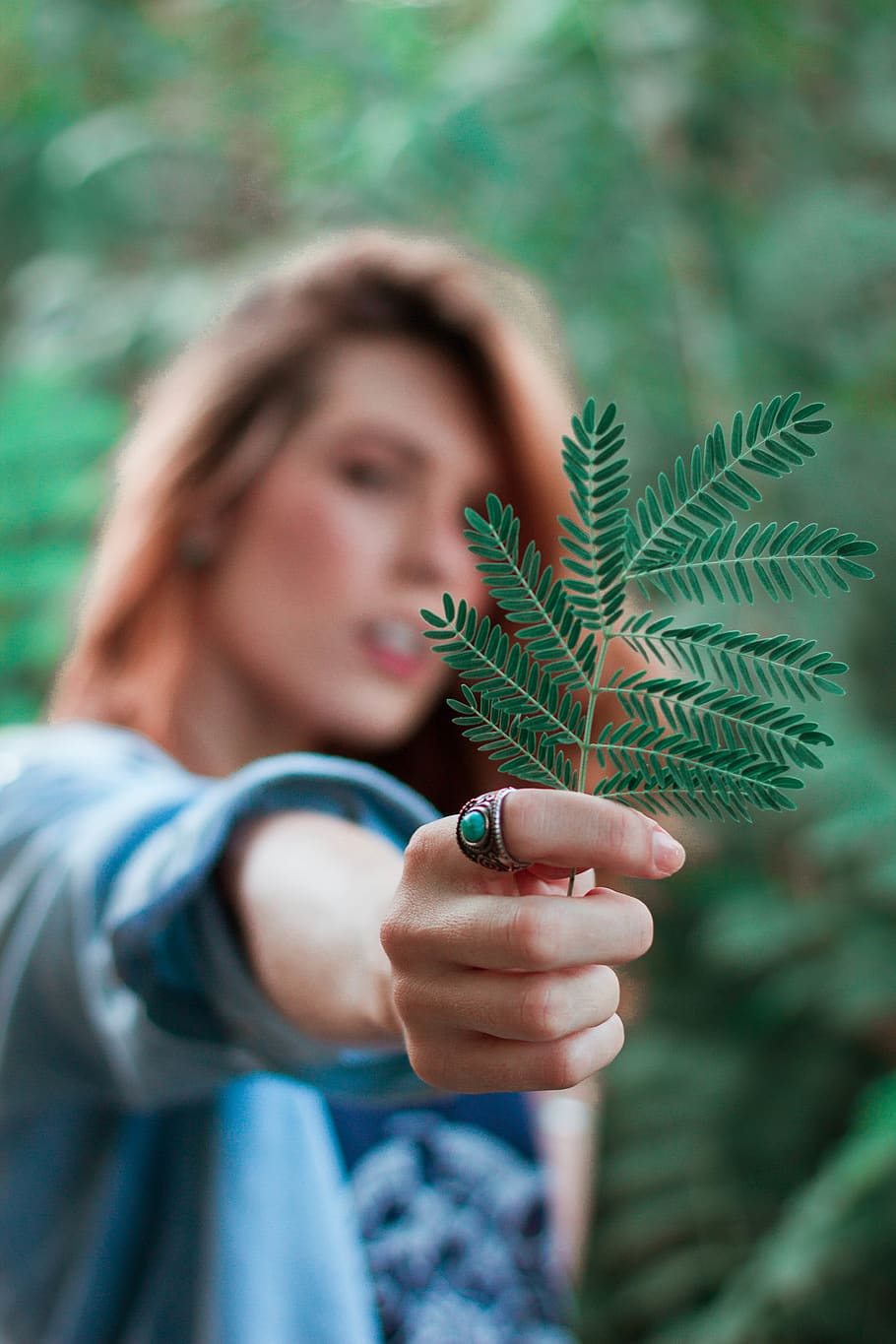 Woman Holding A Leaf, hand, macro, one person, plant, focus on foreground HD wallpaper