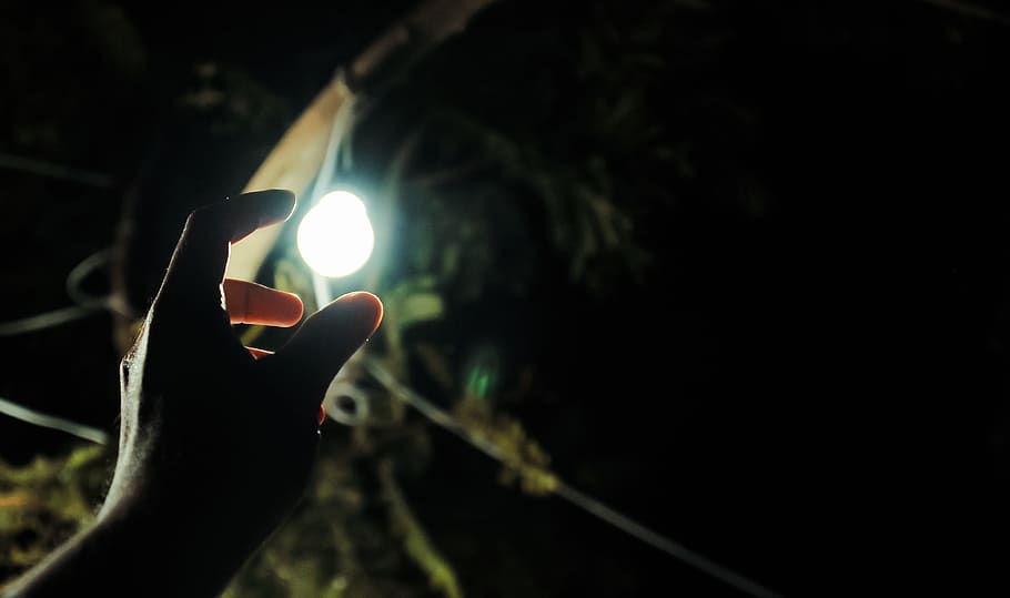 Photo of Man Reaching Light Bulb, blur, bright, close-up, depth of field HD wallpaper