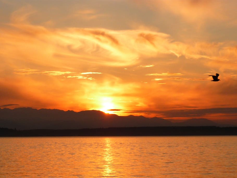 Mountain Silhouette during Golden Hour, backlit, bay, beach, clouds HD wallpaper