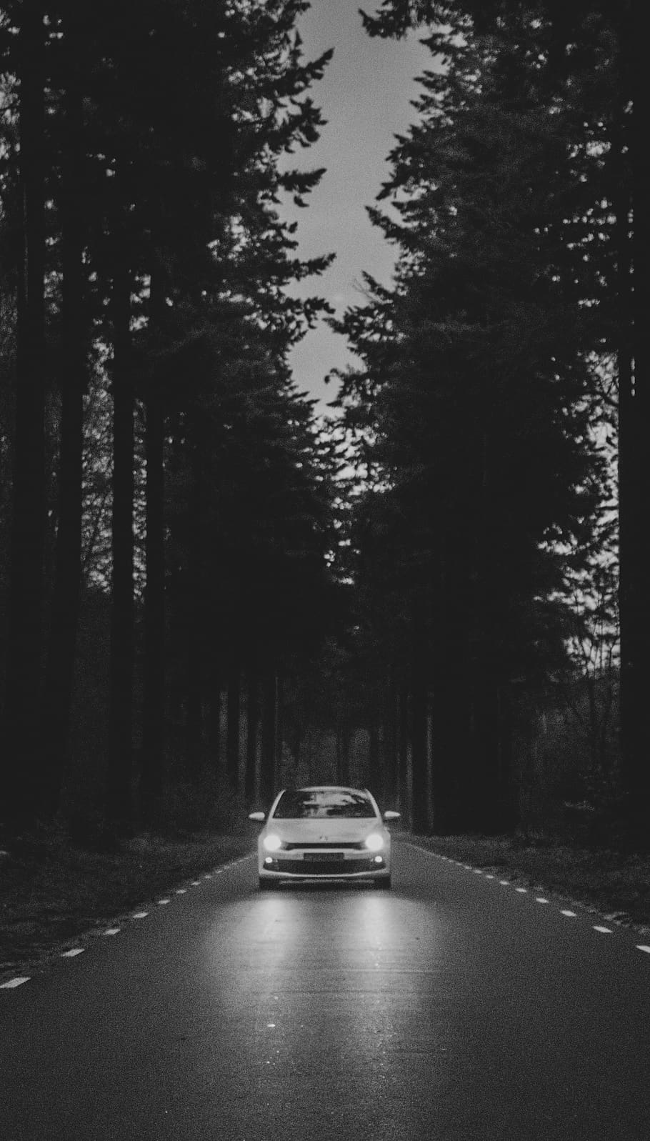 car passing through road between trees, transportation, mode of transportation HD wallpaper
