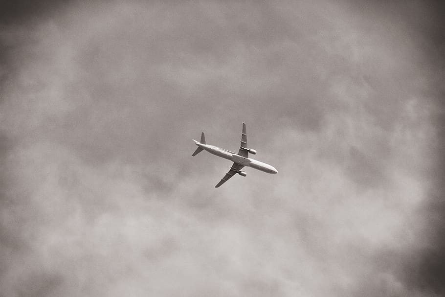 grayscale photo on plane, cloud, sky, transportation, aircraft HD wallpaper