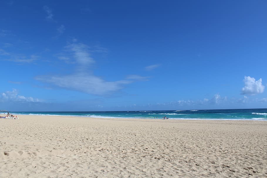 punta, cana, ocean, sand, beach, caribbean, sea, sun, tropical HD wallpaper