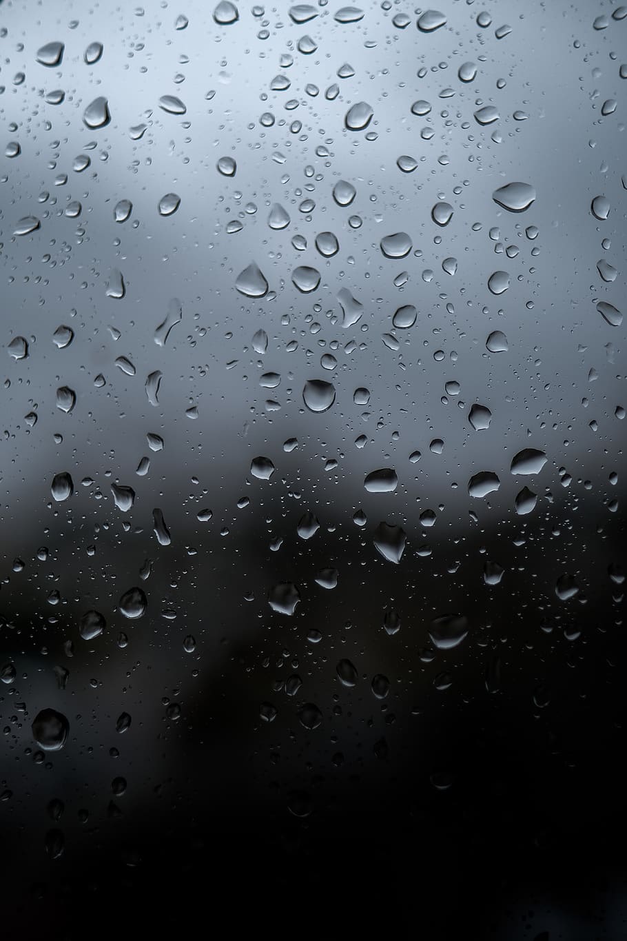 wet, full frame, drop, backgrounds, window, water, close-up HD wallpaper