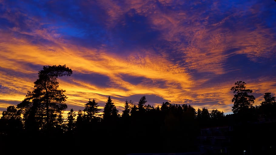 heaven, clouds, blue, atmosphere, cloudscape, sunset, tree HD wallpaper