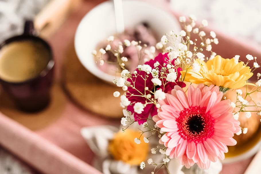 Shallow Focus Photography of Coffee and Dish With Pink Gerbera Daisy HD wallpaper