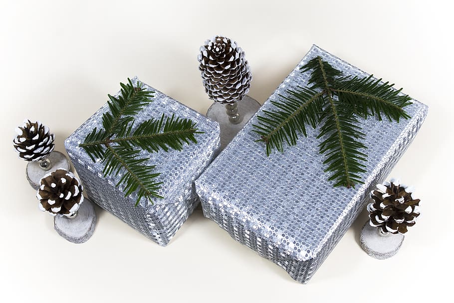 christmas, gift, packed, silver, tannenzweig, deco, pine cones HD wallpaper