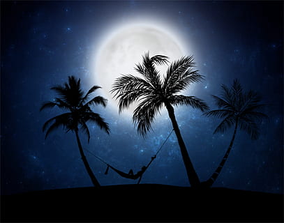 moon, night, dark, palms, hammock, silhouette, traquilidad HD wallpaper