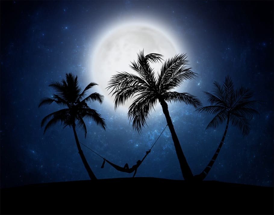 moon, night, dark, palms, hammock, silhouette, traquilidad HD wallpaper