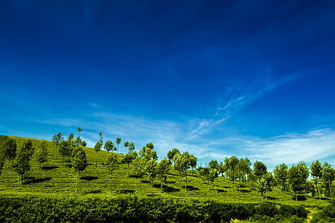 bluehour, blusky, clouds, ooty, landscape, photography, india HD wallpaper