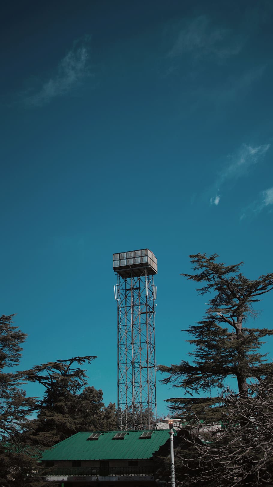 plant, tree, building, tower, architecture, sky, outdoors, vegetation HD wallpaper