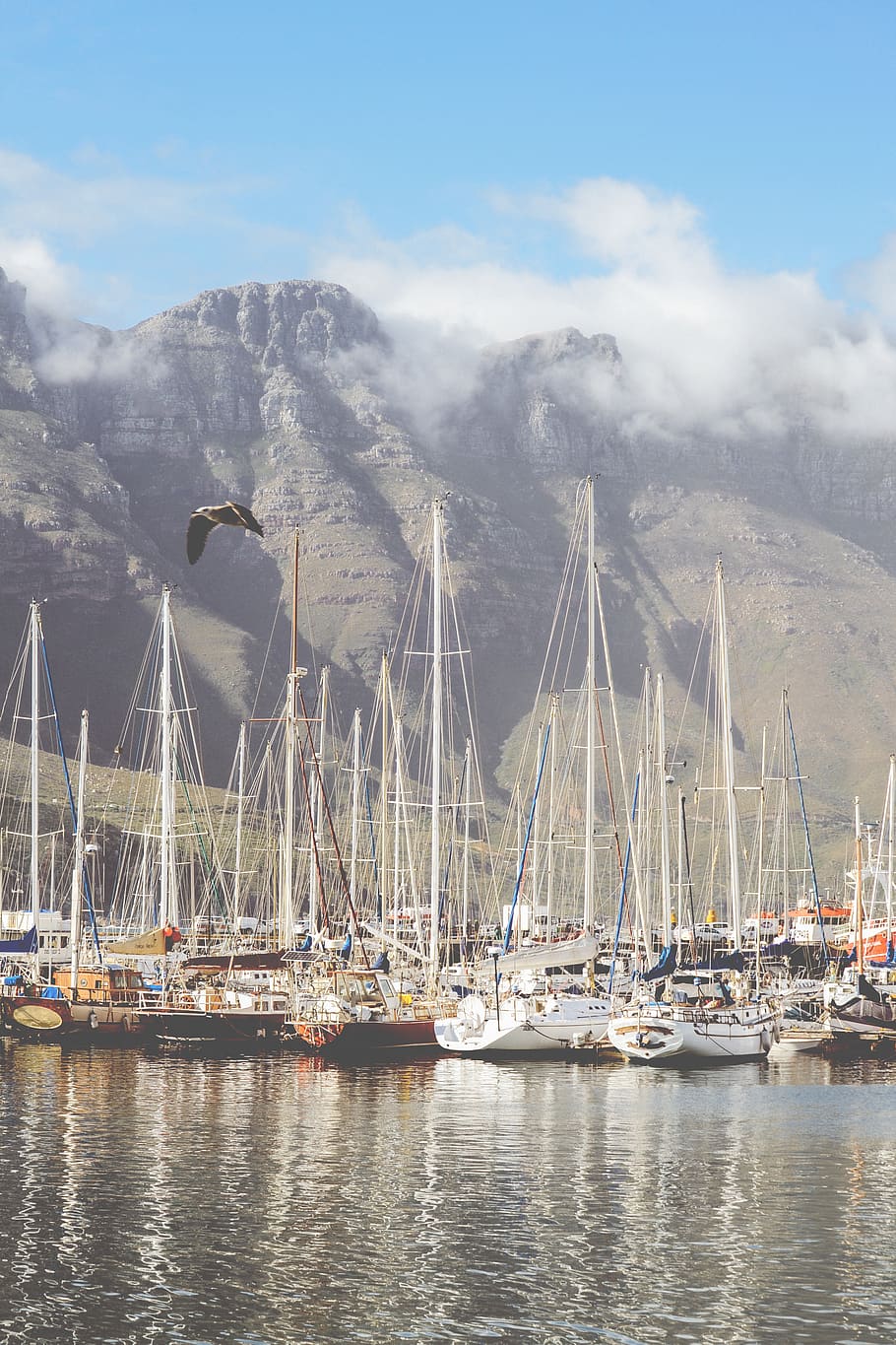 south africa, cape town, hout bay, nautical vessel, transportation, HD wallpaper