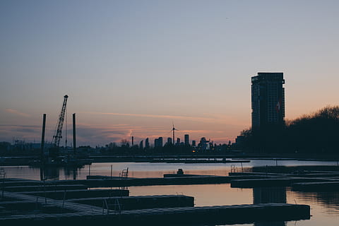 canada, toronto, forest, city, downtown, sky, sunset, view HD wallpaper
