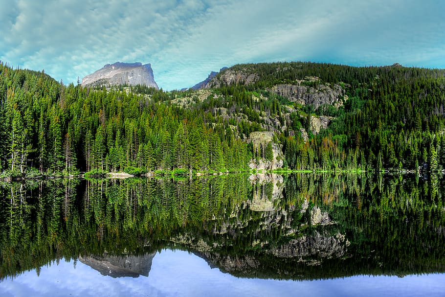 green pine trees, nature, united states, bear lake road, estes park HD wallpaper