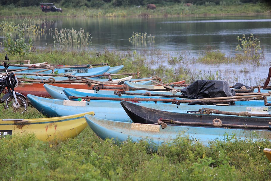 sri lanka, nautical vessel, water, mode of transportation, moored HD wallpaper