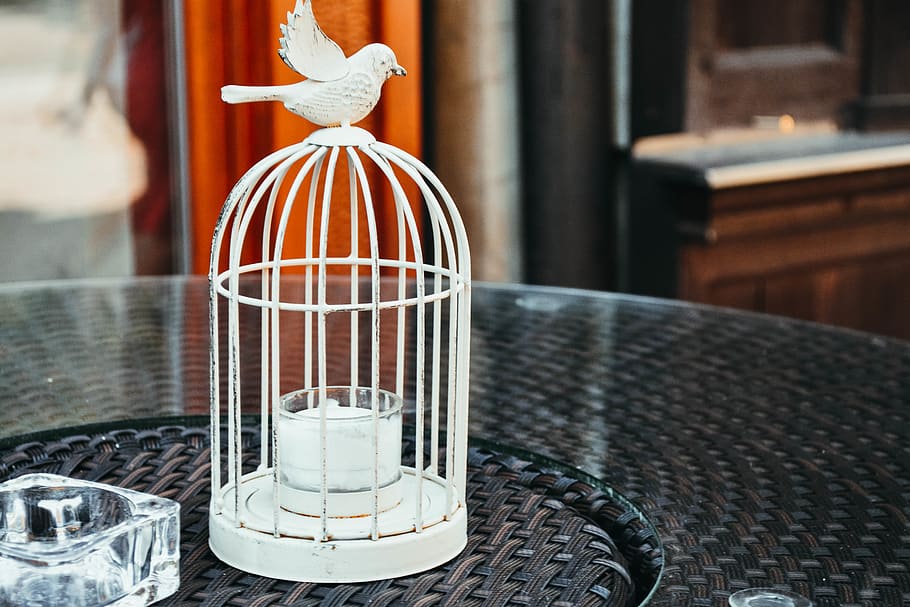 White Bird Cage, bird house, birdcage, focus on foreground, no people HD wallpaper
