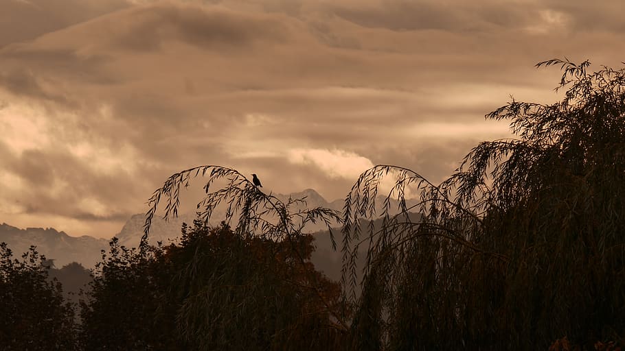 landscape, mountain, tree, animal, bird, sky, cloud, wallpaper HD wallpaper