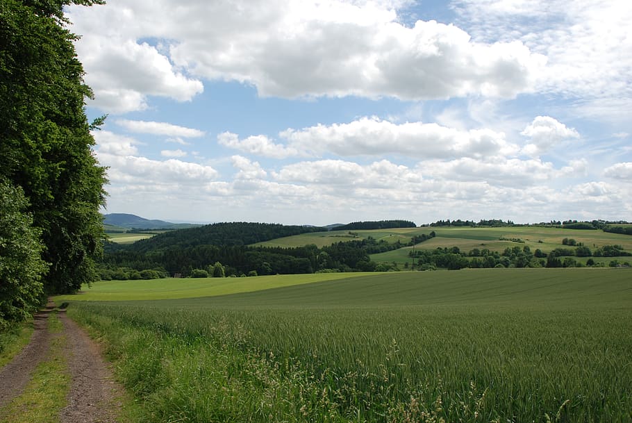 landscape, panorama, nature, grass, tree, sky, hill, cloud HD wallpaper