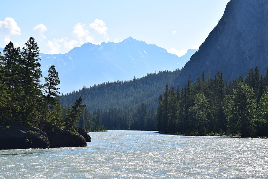 canada, banff, forest, nature, national park, water, mountains HD wallpaper