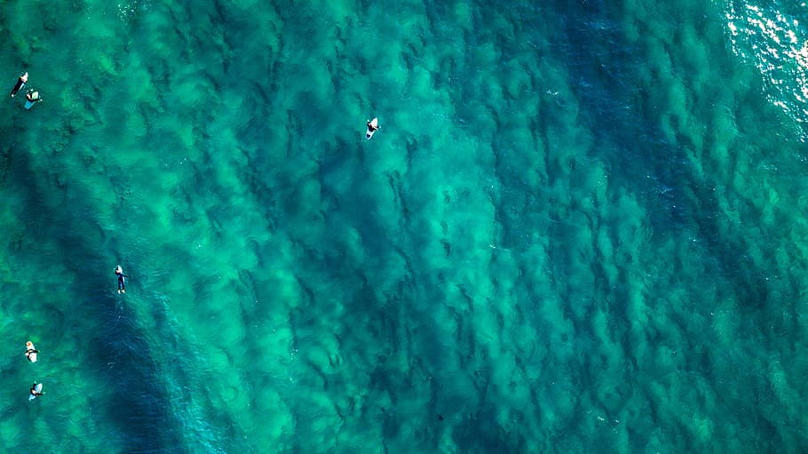 green textile, person, water, ocean, sea, australia, diving, diver HD wallpaper