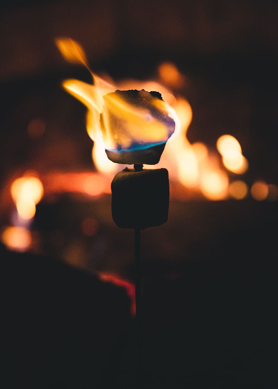 united states, virginia, fall, smores, s'mores, fire, marshmallow, HD wallpaper