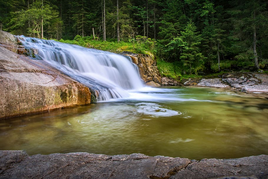 river, cascade, white elbe, waterfall, fluent, creek, green HD wallpaper