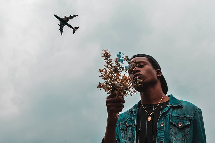 man holding plant, sky, low angle view, air vehicle, flying, mid-air HD wallpaper