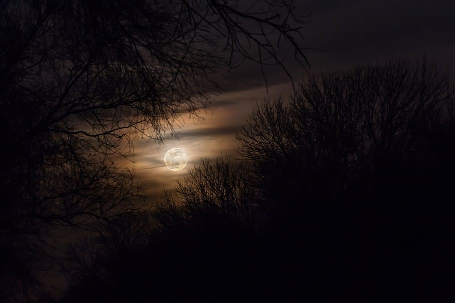 moon, full moon, at night, moonlight, dark, nature, black, sky HD wallpaper
