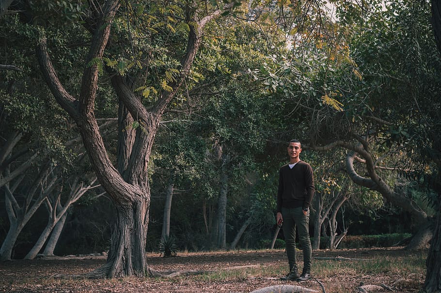 Man Surrounded By Trees, environment, fine-looking, forest, outdoorchallenge HD wallpaper