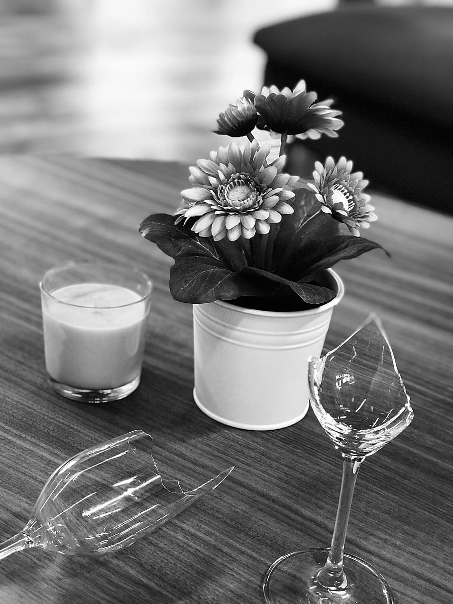broken, monochrome, glasses, relationship, table, flower, flowering plant HD wallpaper