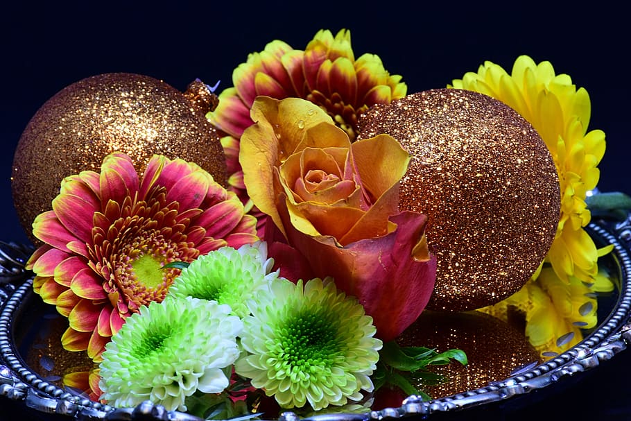 gerbera, flowers, shell, decoration, christmas, balls, close up HD wallpaper