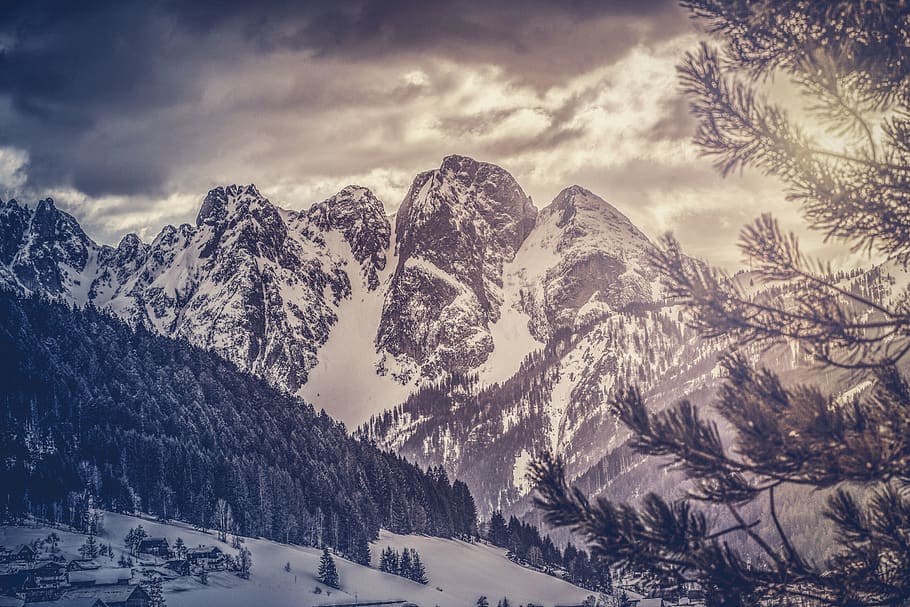 mountain ranges, nature, outdoors, plant, tree, fir, abies, ice HD wallpaper