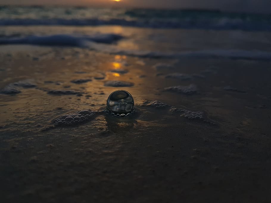 maldives, funadhoo, beach, sand, land, water, selective focus HD wallpaper