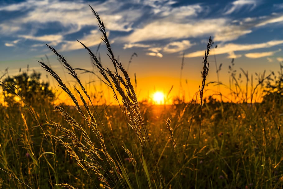 Brown Wreath Under Cloudy Sky, cereal, clouds, cropland, dawn HD wallpaper