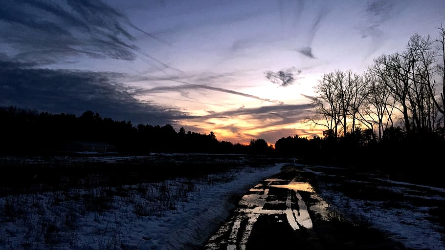 two track, sunset, dirt road, puddle, trees, treeline, trail HD wallpaper