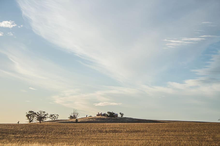 old tree, ruins, sky, farm, land, mountain, golden hour, simple HD wallpaper