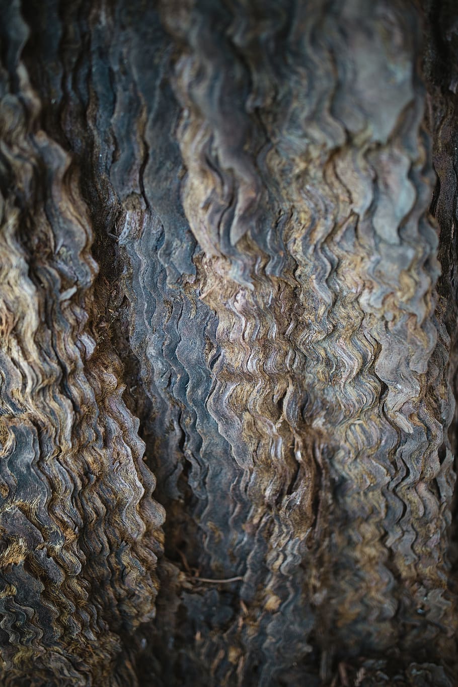 rock, texture, mud, rug, lace, bronze, oil spill, animal, coho HD wallpaper