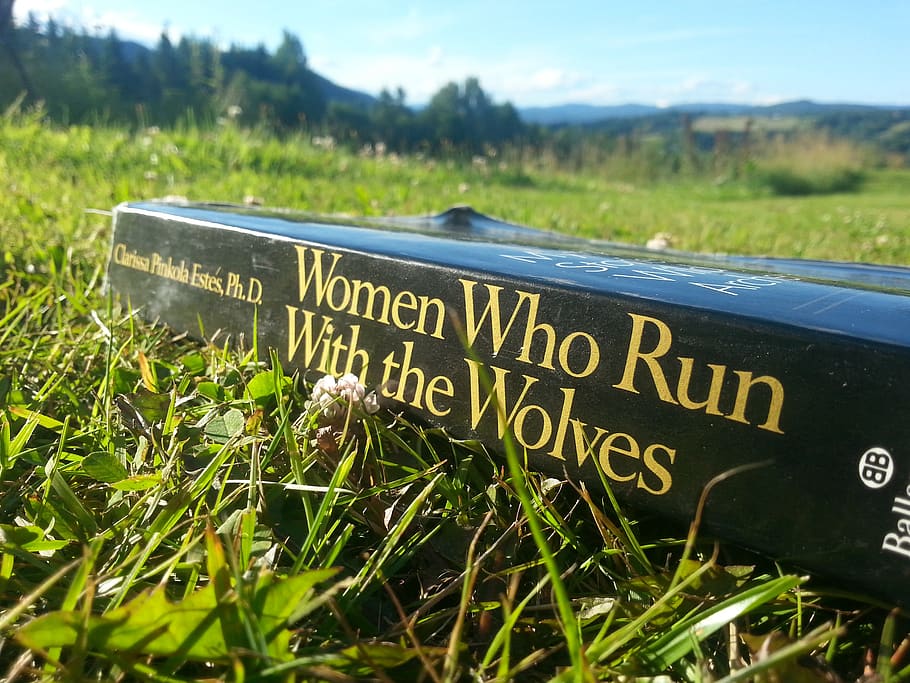book, reading, women, wolf, wolves, literature, cover, author