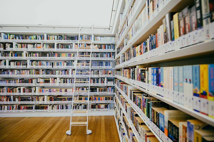 white book shelf filled with book in library, indoors, furniture, HD wallpaper