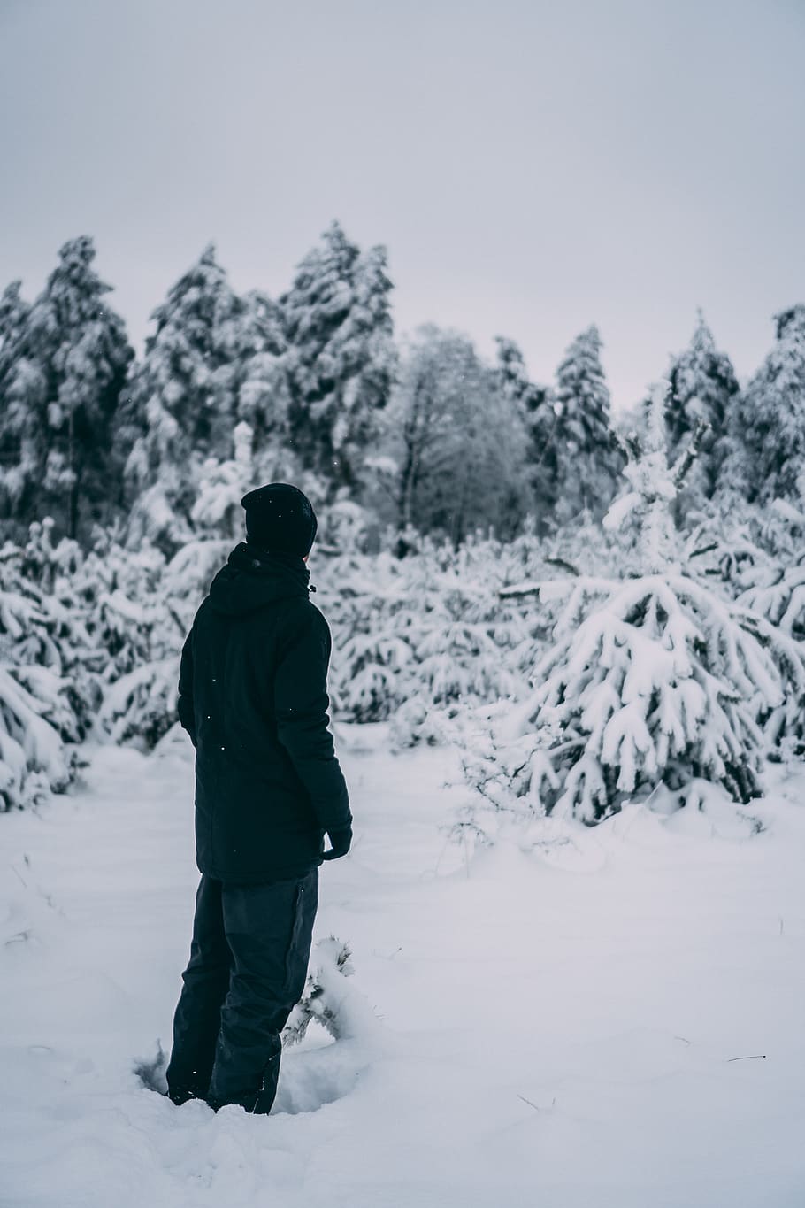 man standing on snow field, nature, person, human, tree, plant HD wallpaper