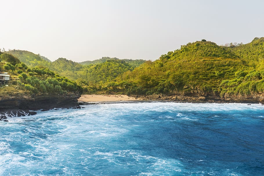 indonesia, water, beauty in nature, scenics - nature, tree HD wallpaper