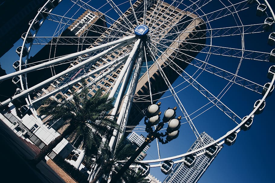 ferris wheel, big wheel, blue sky, tree, light posts, photography HD wallpaper