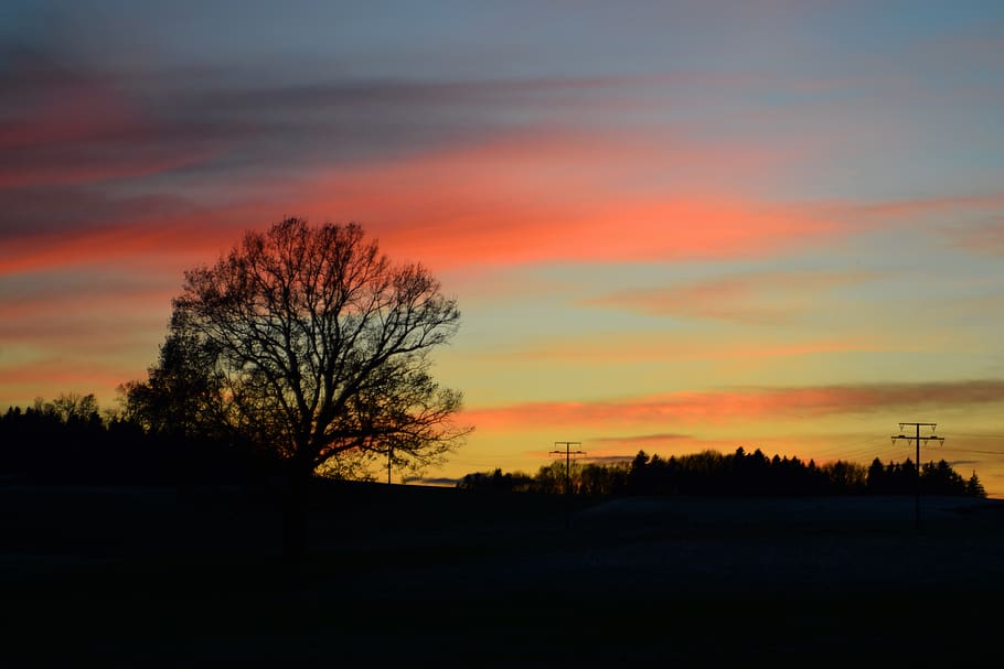 germany, ebersberg, cloud, sun, tree, sunset, red, orange, trees HD wallpaper