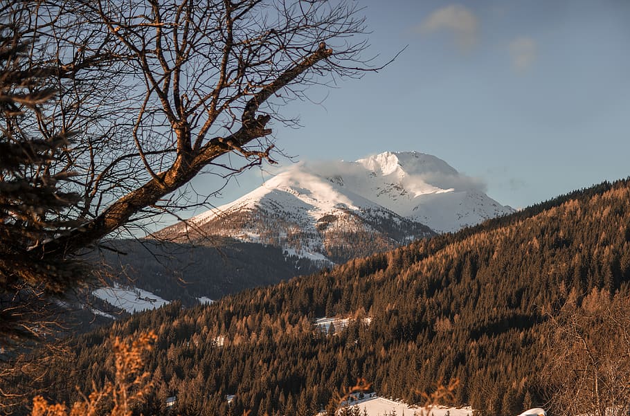 austria, tamsweg, tree, forest, bluesky, mountain, snow, winter HD wallpaper