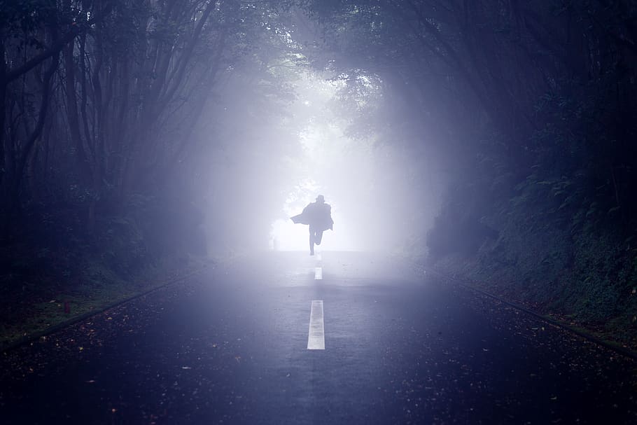person running road between trees, japan, oshima, oshima island HD wallpaper